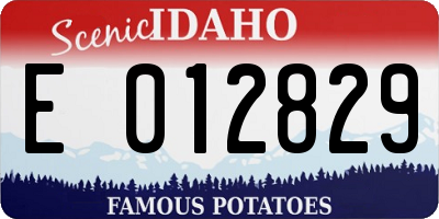 ID license plate E012829
