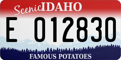 ID license plate E012830