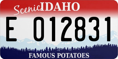 ID license plate E012831