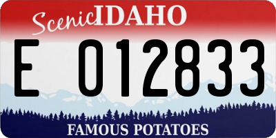 ID license plate E012833