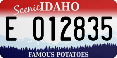 ID license plate E012835