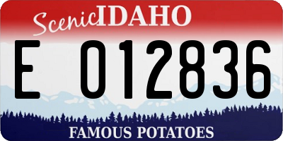 ID license plate E012836