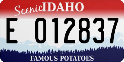 ID license plate E012837