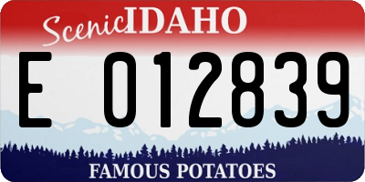 ID license plate E012839