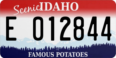 ID license plate E012844