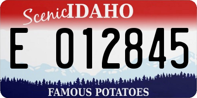 ID license plate E012845