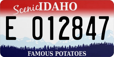 ID license plate E012847