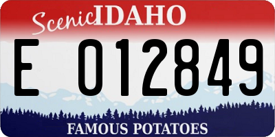 ID license plate E012849