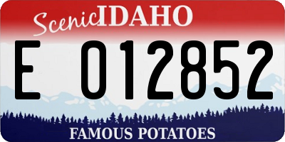 ID license plate E012852