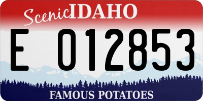 ID license plate E012853