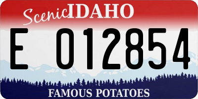 ID license plate E012854