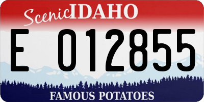 ID license plate E012855