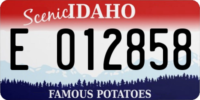 ID license plate E012858