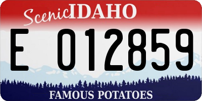 ID license plate E012859