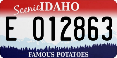 ID license plate E012863