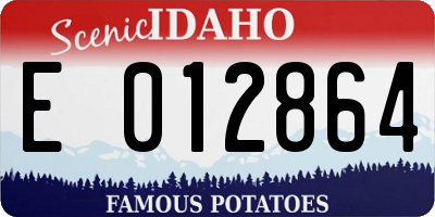 ID license plate E012864