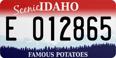 ID license plate E012865