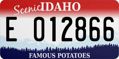 ID license plate E012866