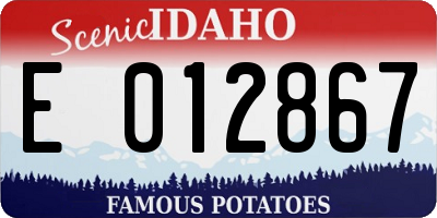 ID license plate E012867