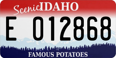 ID license plate E012868