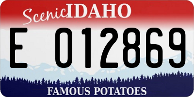 ID license plate E012869