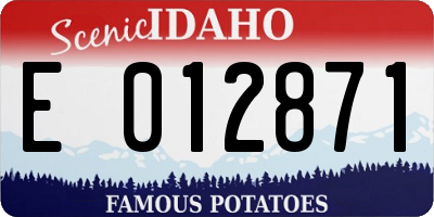 ID license plate E012871