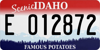 ID license plate E012872
