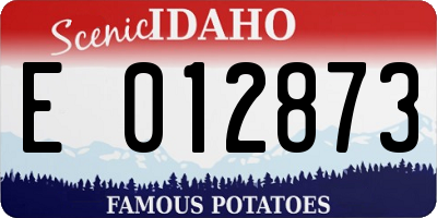 ID license plate E012873