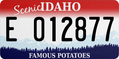 ID license plate E012877