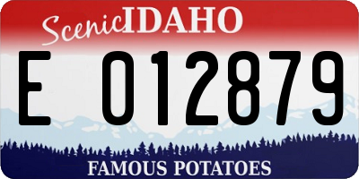 ID license plate E012879