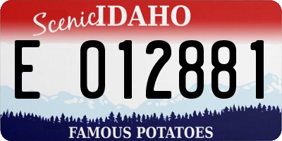 ID license plate E012881