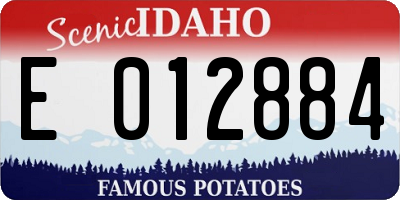 ID license plate E012884