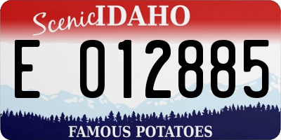 ID license plate E012885