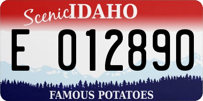 ID license plate E012890