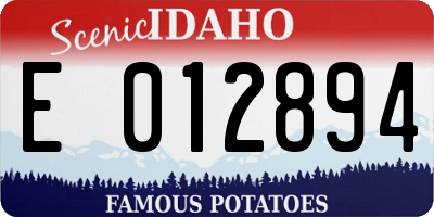 ID license plate E012894