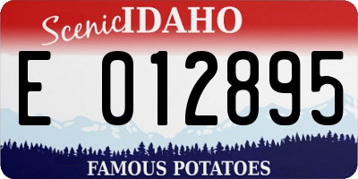 ID license plate E012895