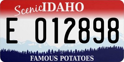 ID license plate E012898