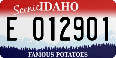 ID license plate E012901