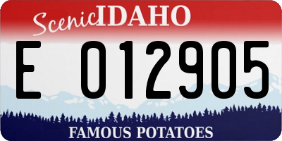ID license plate E012905