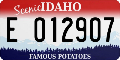 ID license plate E012907