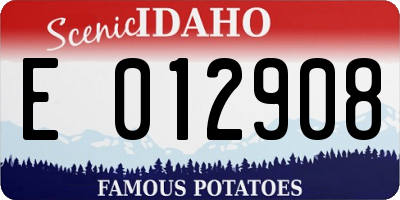 ID license plate E012908