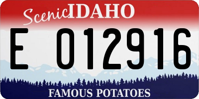 ID license plate E012916