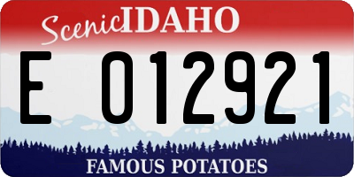 ID license plate E012921