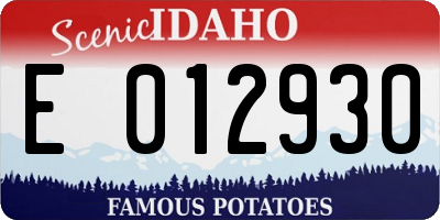ID license plate E012930