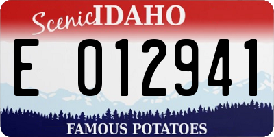 ID license plate E012941