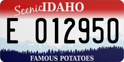 ID license plate E012950