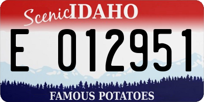 ID license plate E012951