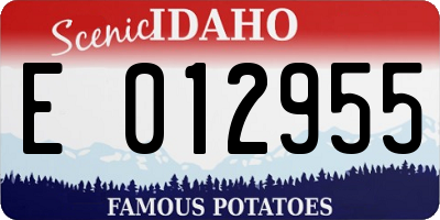 ID license plate E012955