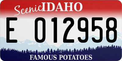 ID license plate E012958
