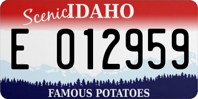 ID license plate E012959